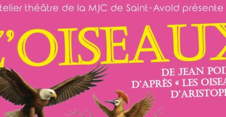 Zoiseaux -800300